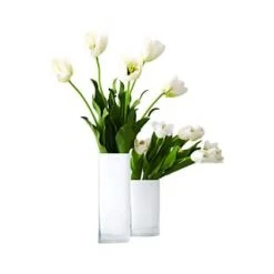 LEONARDO Vase "Lucca" 11 X 20 X 9,5 Cm