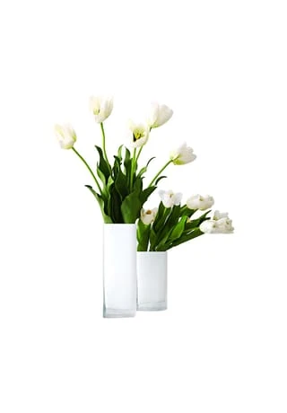 LEONARDO Vase "Lucca" 11 X 20 X 9,5 Cm 4 LEONARDO Vase "Lucca" 11 X 20 X 9,5 Cm -Angebote Dekoartikel Store unnamed file 1307