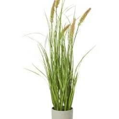 14ENDER Penisetum Im Topf, 97 Cm