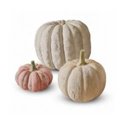 LOBERON Kürbis 3er Set Pumpkin Bunt Bunt